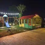 Alya 3* シダ